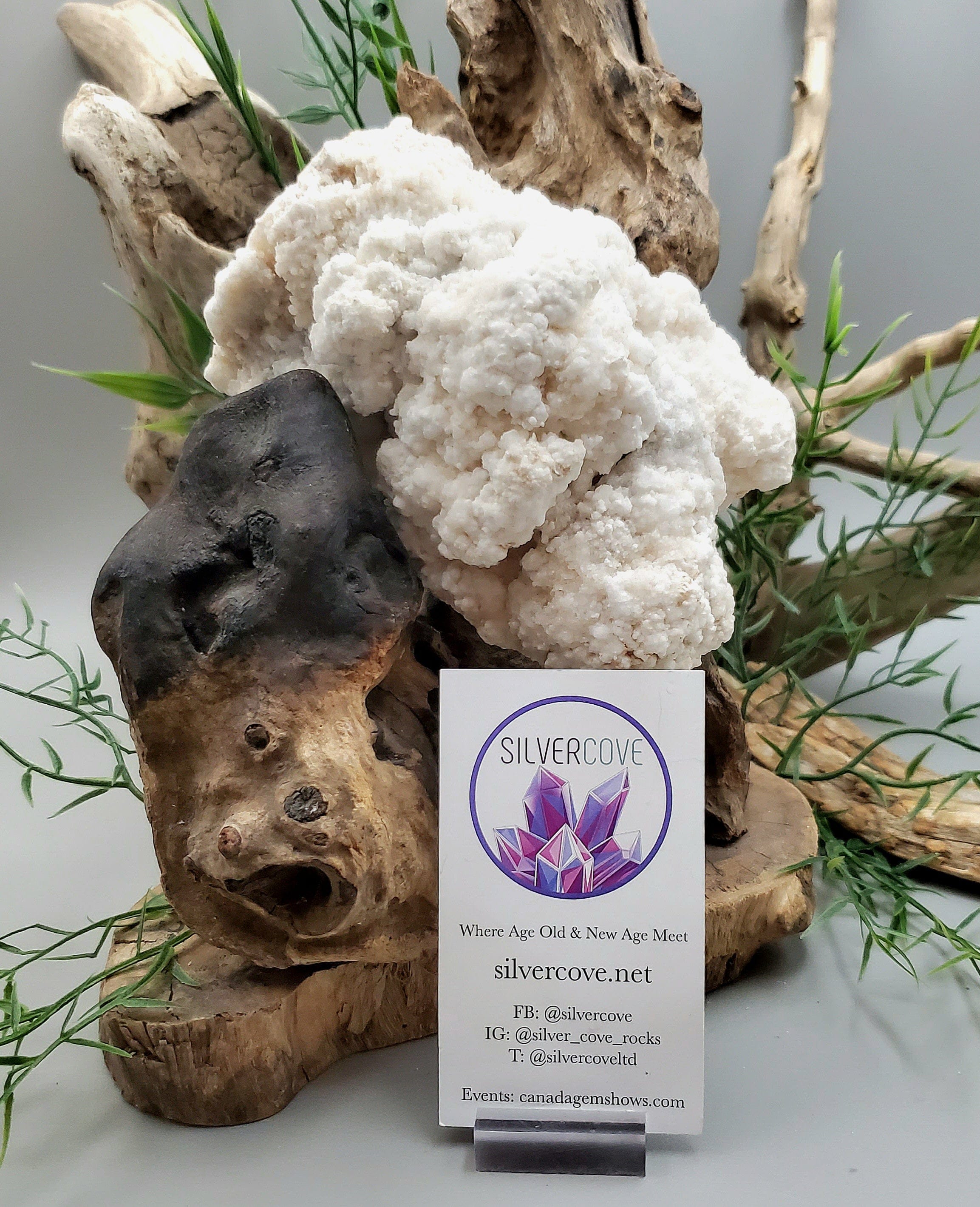 Natural Aragonite Crystal Specimen - High-Quality Mineral Collection for Home Decor, Healing Crystals & Geology Enthusiasts | Perfect for Display, Meditation & Gifts