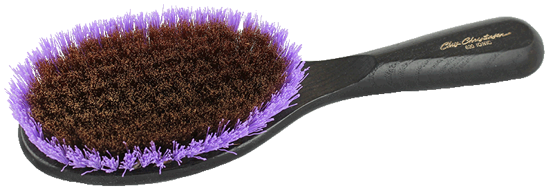 CCS Ionic Brass & Purple Nylon Hair Brush for Smoothing & Detangling - Perfect for Curly, Wavy & Thick Hair Styling at Home or Salon