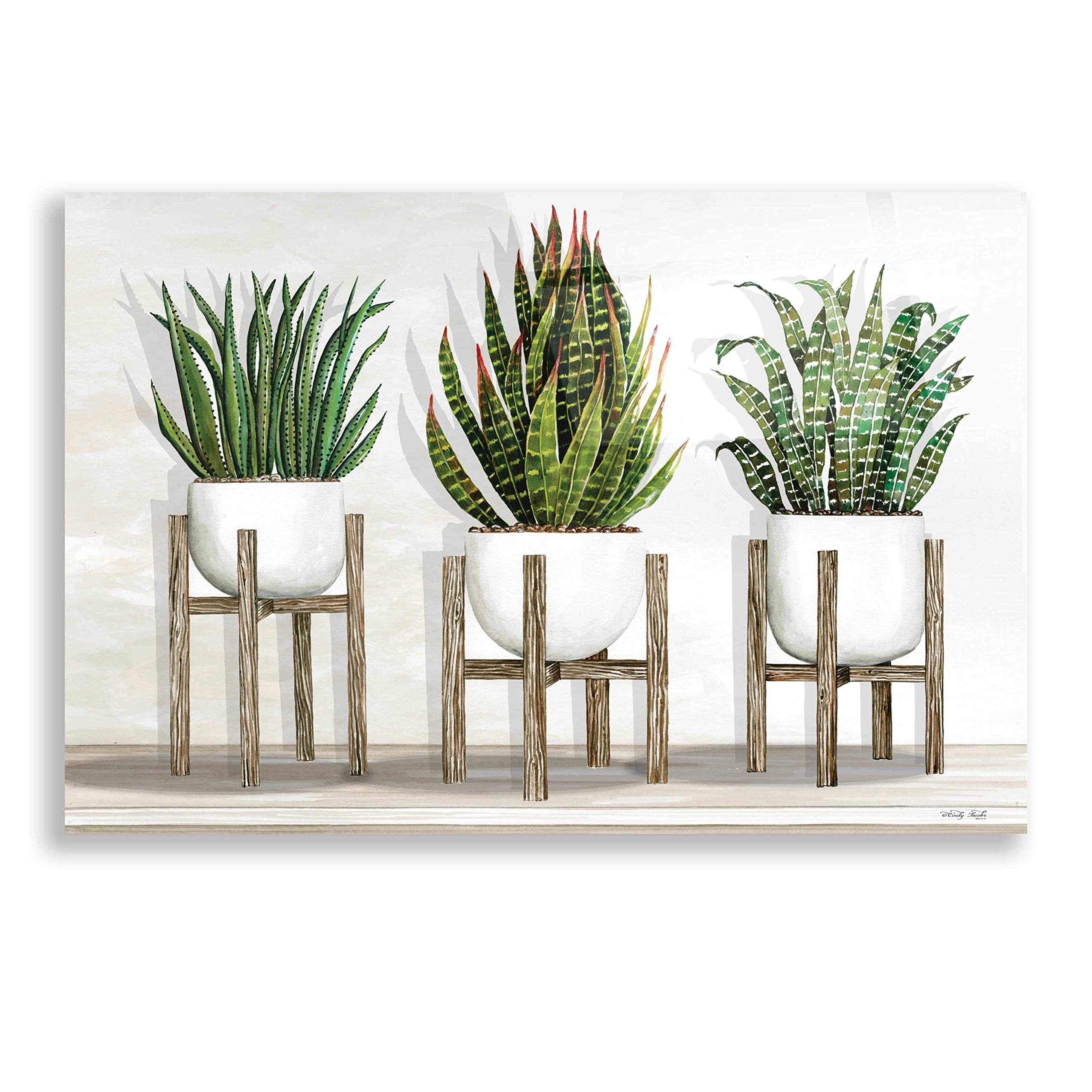 Epic Art 'White Pots on Stands I' by Cindy Jacobs - Acrylic Glass Wall Art 24x16 Inches - Modern Home Decor for Living Room, Bedroom & Office