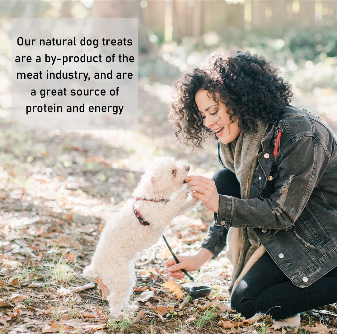 1kg Natural Beef Head Skin Dog Chews - High Protein, Grain-Free Dog Treats for Dental Health & Training - Perfect for Aggressive Chewers & Large Breeds