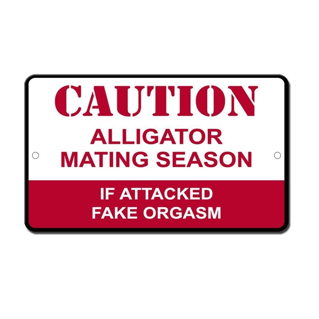 Lilyanaen Metal Turtle Crossing Sign - 8x12 Inch Aluminum Novelty Sign for Home, Office, Bar & Outdoor Decor - Durable Weatherproof Decorative Wall Art