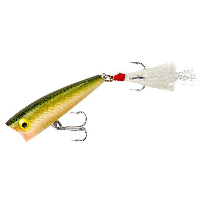 Tennessee Shad