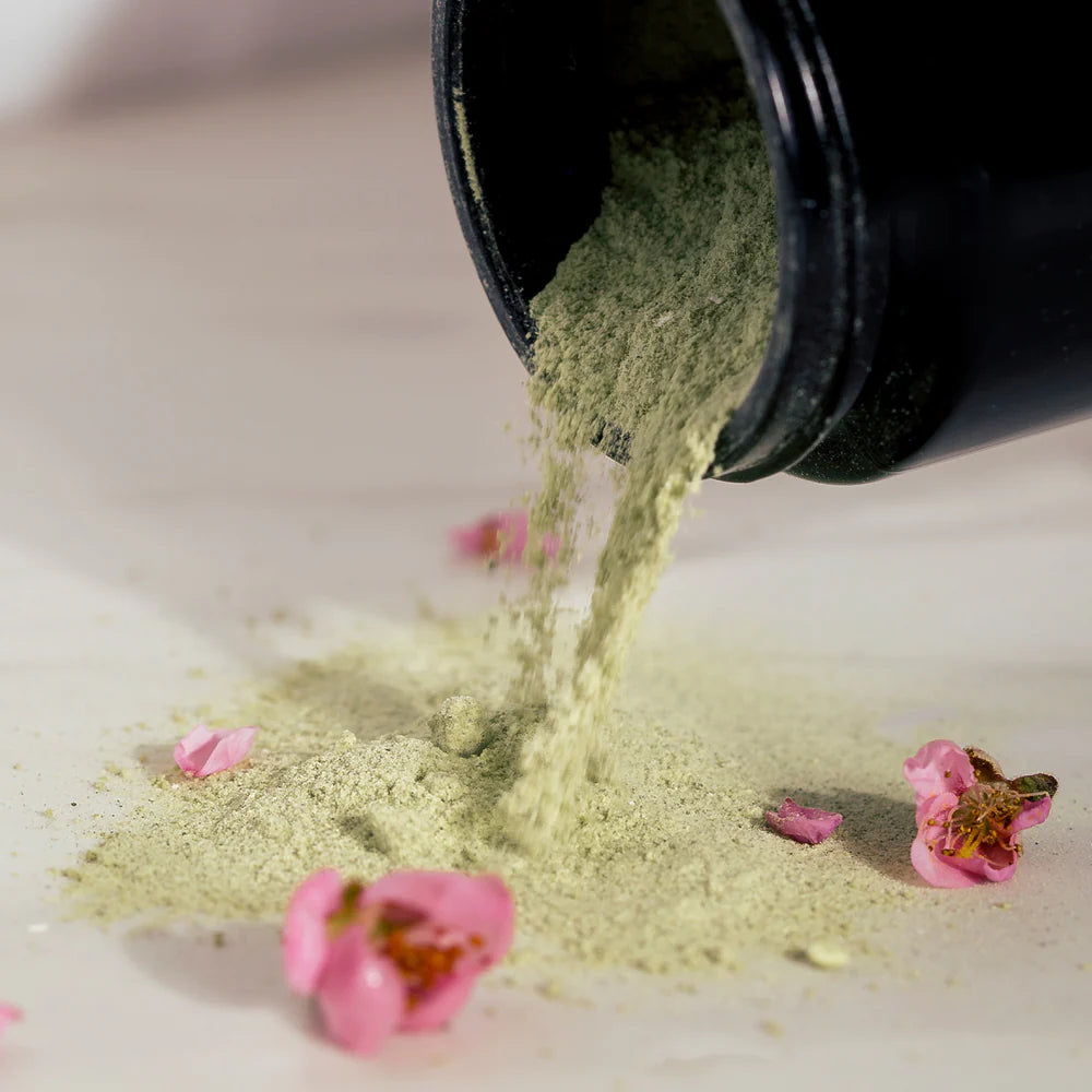 Organic Green Ceremony Matcha Powder Cleanser with Chlorophyll & Spirulina - Detoxifying Facial Wash for Acne & Oily Skin | Daily Skincare Routine & Spa Treatment