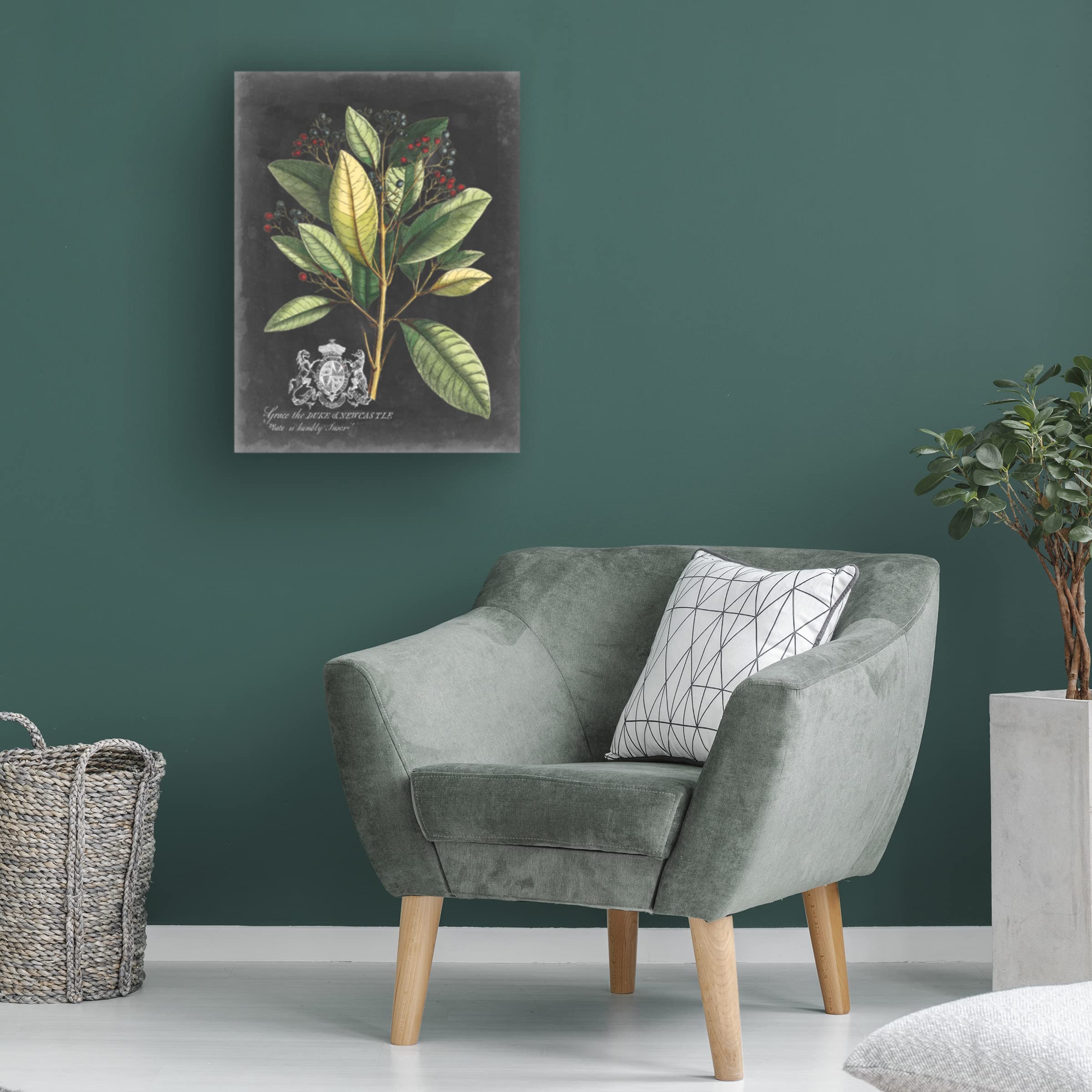 Trademark Fine Art 'Royal Foliage IV' Canvas Wall Art Print by Vision Studio - Perfect for Living Room, Bedroom & Office Decor