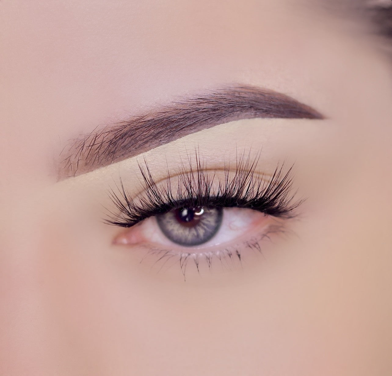 Lucia Faux Mink Lashes - JLash x Luis Torres Vol 3 - Natural Looking False Eyelashes for Dramatic Eye Makeup - Perfect for Parties, Weddings & Special Occasions
