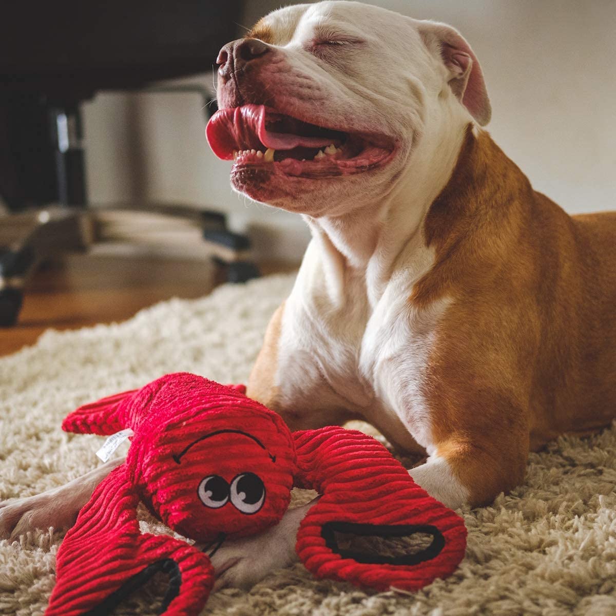 SmartPetLove Snuggle Puppy Tender-Tuffs Plush Dog Toys for Tug-of-War - Durable Yellow Stingray & Large Red Lobster Squeaky Marine Animal Chew Toys | Interactive Play for Puppies & Adult Dogs | Perfect for Training, Bonding & Indoor/Outdoor Playtime