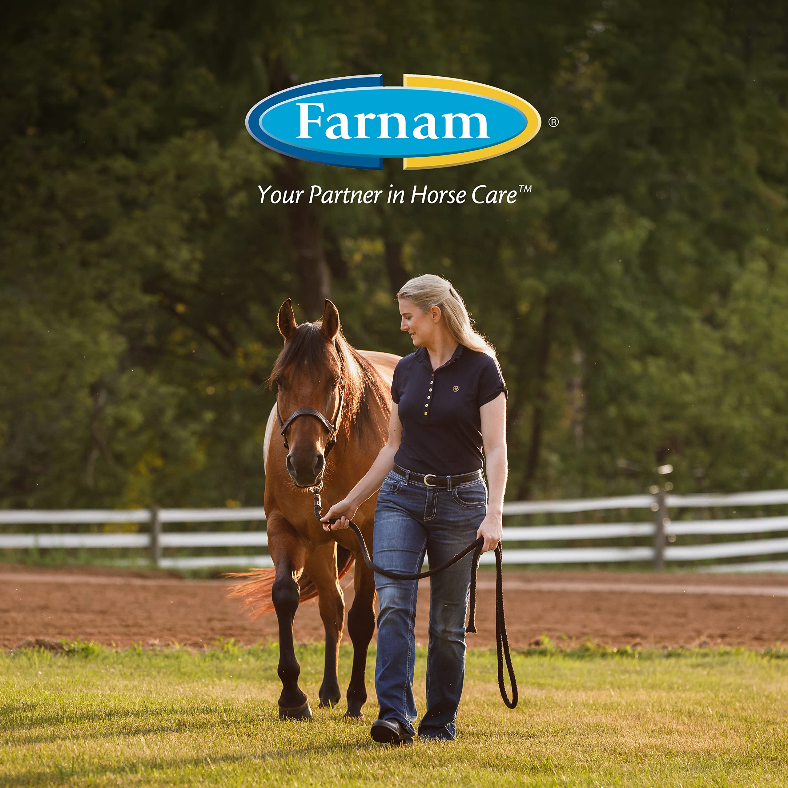 Farnam Bronco Gold Fly Spray for Horses | Gallon Refill (128 oz) | Fly Repellent, Grooming Aid & Coat Conditioner | Ideal for Stables, Barns & Outdoor Riding