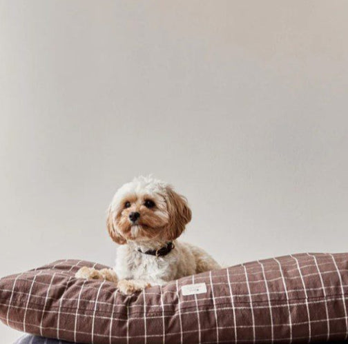 OYOY ZOO Kyoto Dog Cushion - Soft Plush Pet Pillow for Sofa & Bed - Chocolate Brown - 2 Size Options - Perfect for Home Decor & Pet Lovers
