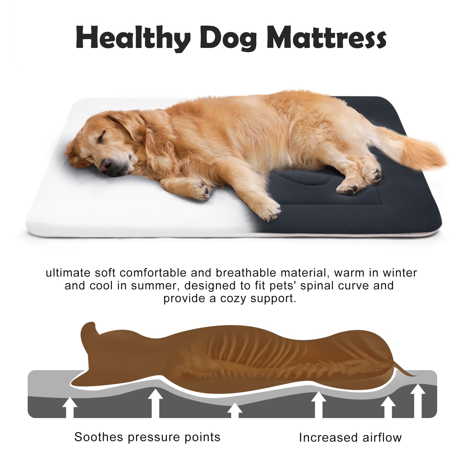 JoicyCo Extra Large Dog Bed - 48 Inch Soft & Washable Pet Bed with Non-Slip Bottom for Dogs & Cats | Durable Kennel Pad & Crate Mat for Sleeping, Lounging & Travel - Dark Gray