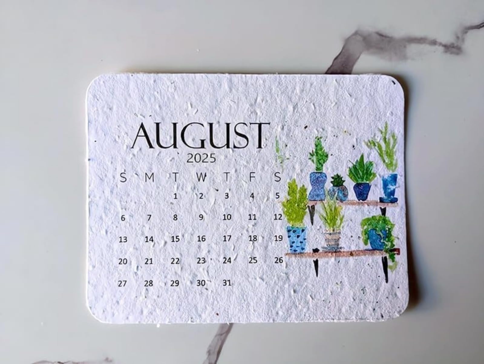 2025 Plantable Seed Calendar - Eco-Friendly Greenery Planner with Growable Herbs & Flowers | January to December Monthly Organizer | Perfect for Home Office, Kitchen & Sustainable Gardening Gifts