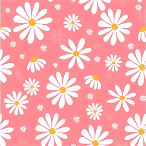 Z24-daisy