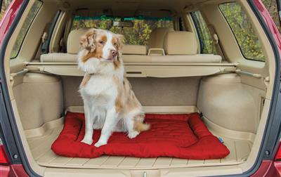 Chili Red Loft Wander Dog Bed - Premium Travel Dog Bed for Small & Medium Dogs | Portable, Comfortable & Washable | Perfect for Car Rides, Camping & Outdoor Adventures