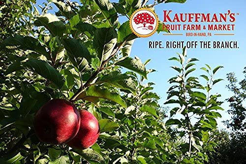 Fresh-Picked Red Delicious Apples from Kauffman Orchards - 48 Count Box | Perfect for Healthy Snacks, Baking Pies & Gift Baskets