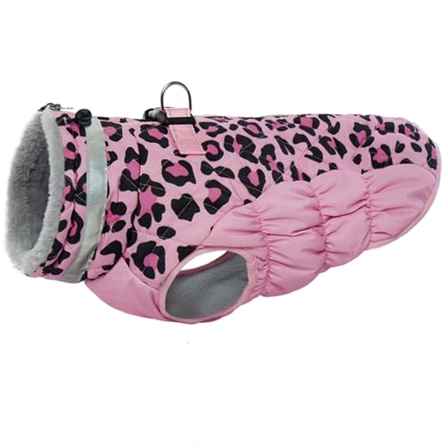 Pink Leopard
