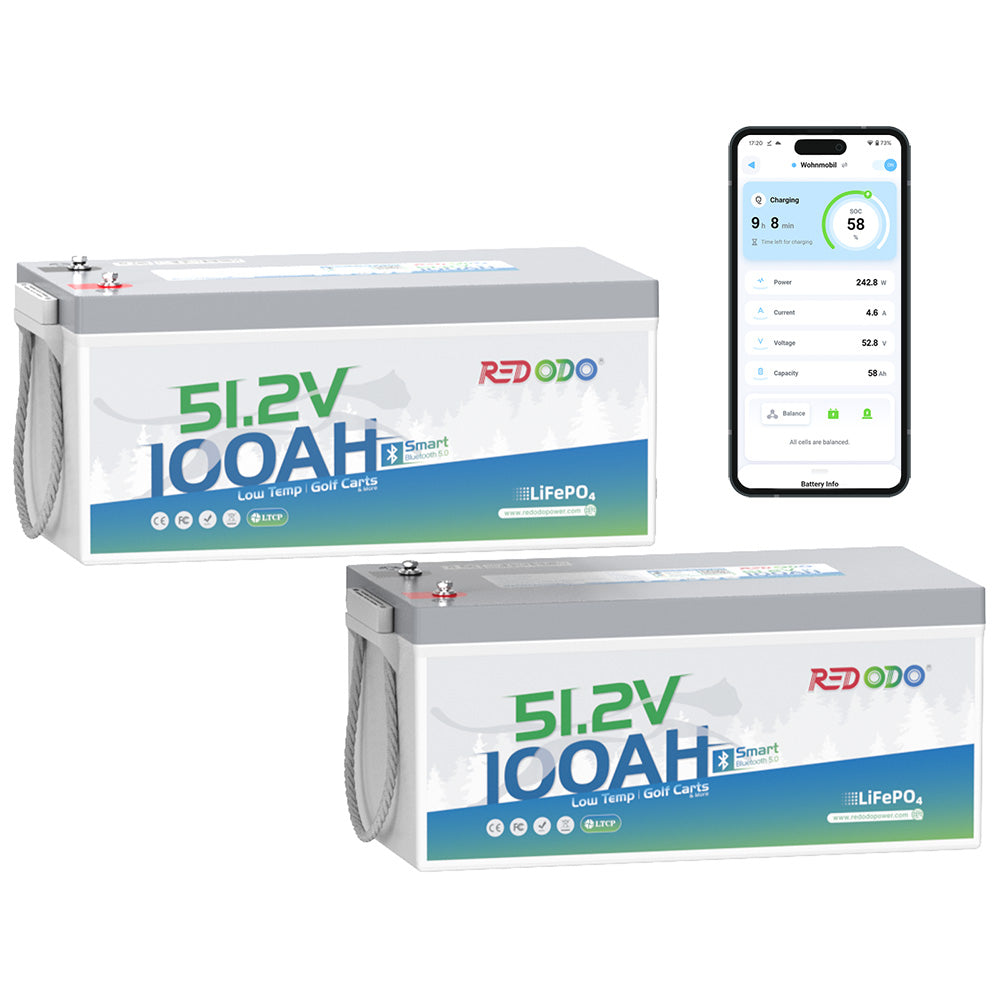 Redodo 48V 100Ah LiFePO4 Lithium Battery for Solar Power Storage - Perfect for Off-Grid, RV, Marine & Home Backup Energy Systems