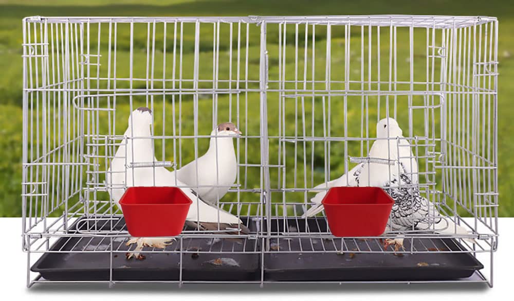 16 OZ Hanging Cage Cup - 20 Pack Chicken Feeder & Waterer for Birds, Rabbits, Pigeons - Durable Food Dishes with Hooks - Perfect for Poultry Coop, Bunny Cage, Duck & Quail Feeding - Seed Treat Dispenser for Small Animals