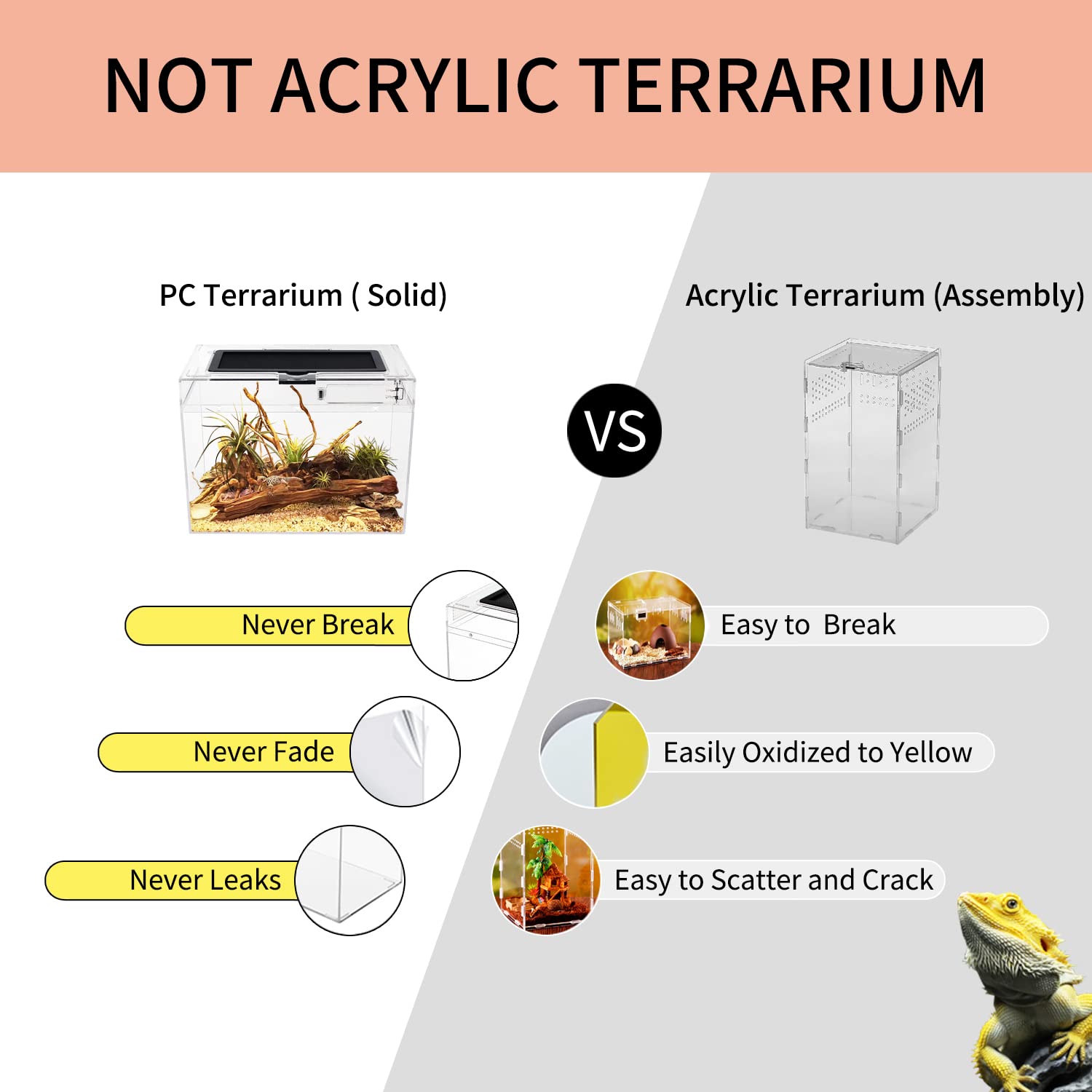 12x7x9 Inch Mini Reptile Terrarium Tank - Clear Full View Enclosure for Insects, Fish, Tarantulas, Hermit Crabs & Small Pets | Perfect Habitat for Jumping Spiders, Leopard Geckos, Frogs & Bearded Dragons | Ideal for Home, Office or Classroom Reptile Displays