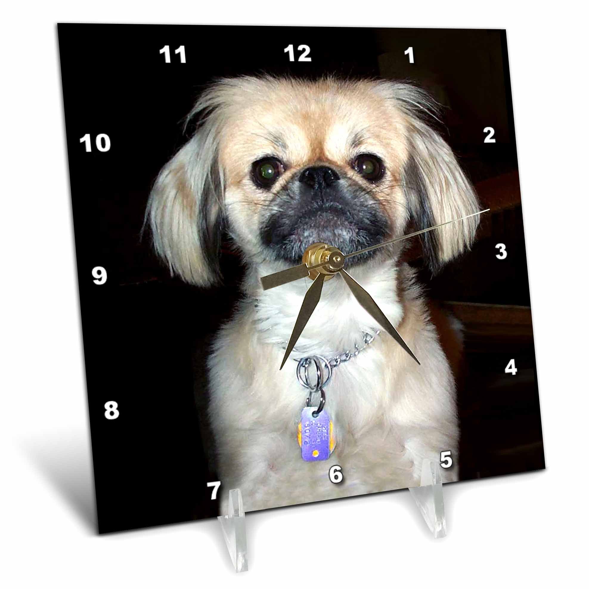 3D Rose Pekingese Dog Themed Desk Clock - 6x6 Inch Stylish Home & Office Decor for Pet Lovers