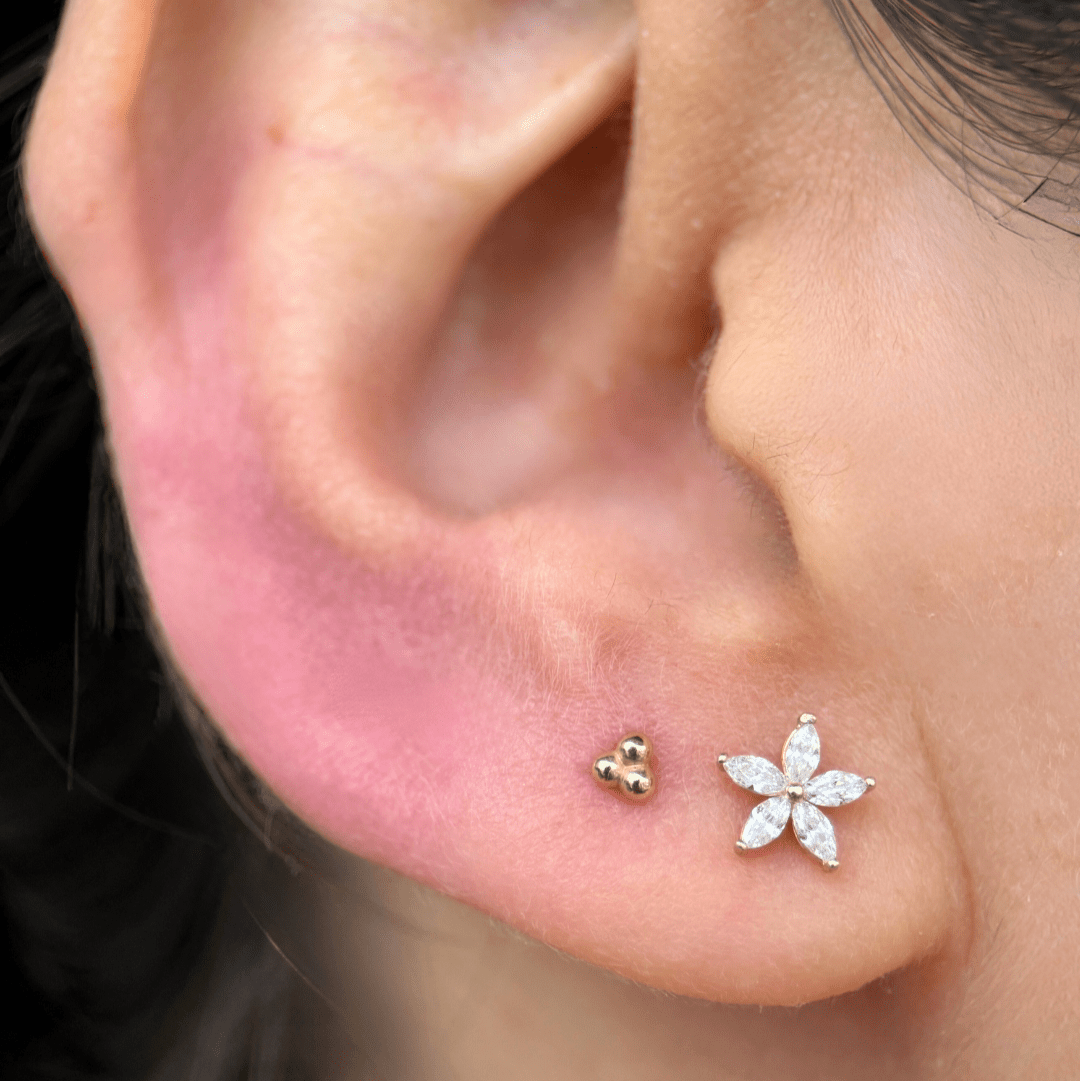 14k White Gold Marquise Flower Flat Back Earrings for Women - Elegant Dainty Studs for Daily Wear, Parties & Special Occasions