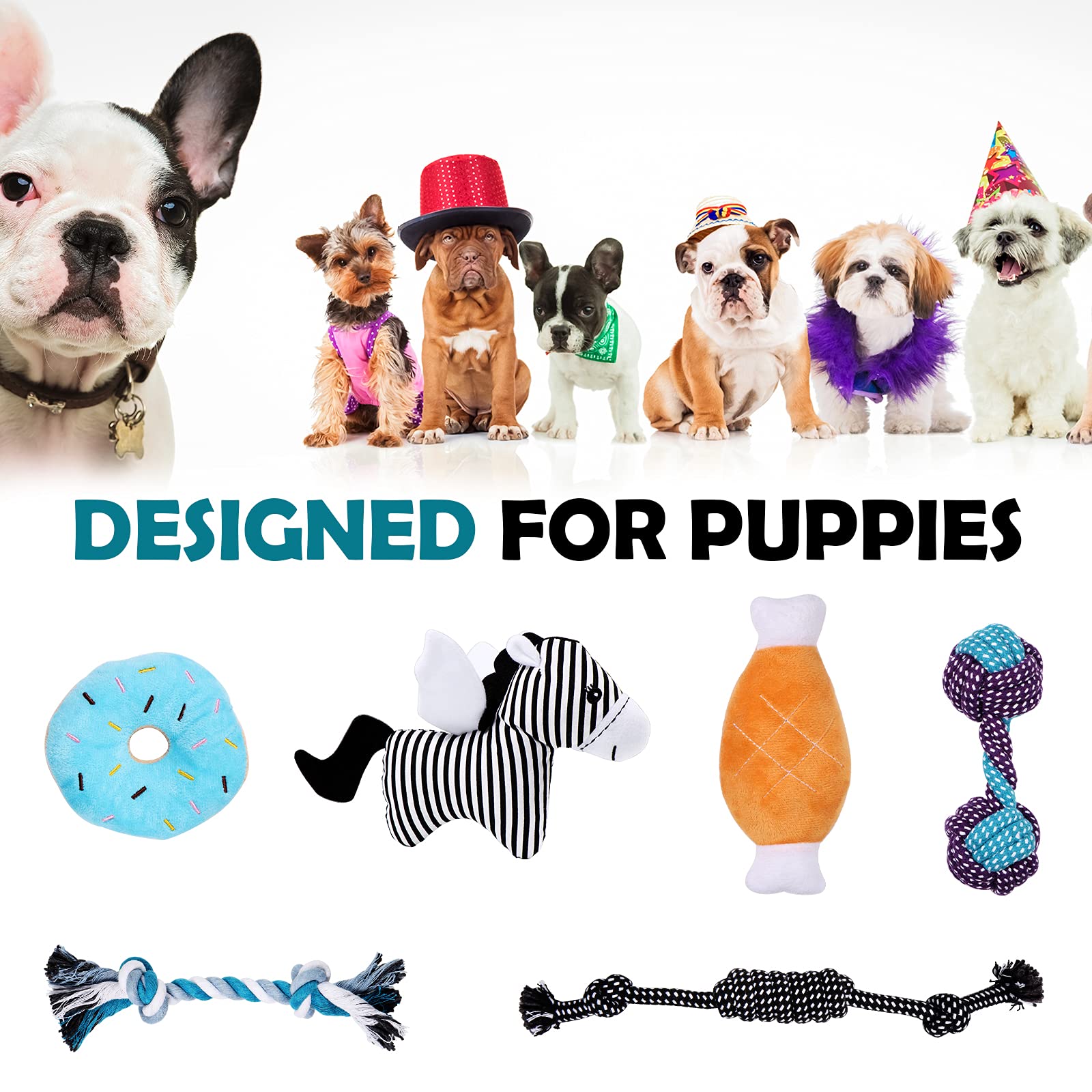 Best Dog Teething Toys for Puppies - 6 Pack Assorted Chew Toys for Small & Medium Dogs - Relieves Teething Pain & Anxiety - Perfect for Training, Playtime & Dental Health