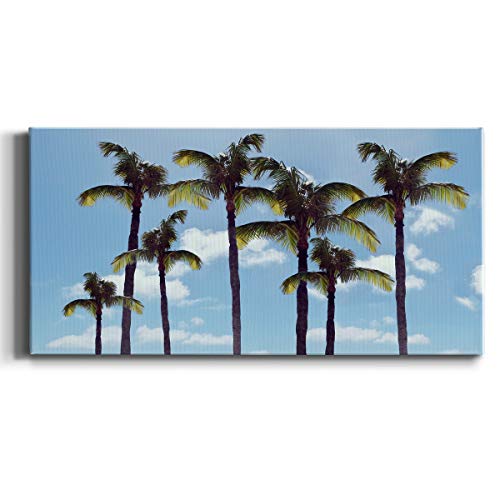 California Palm Trees