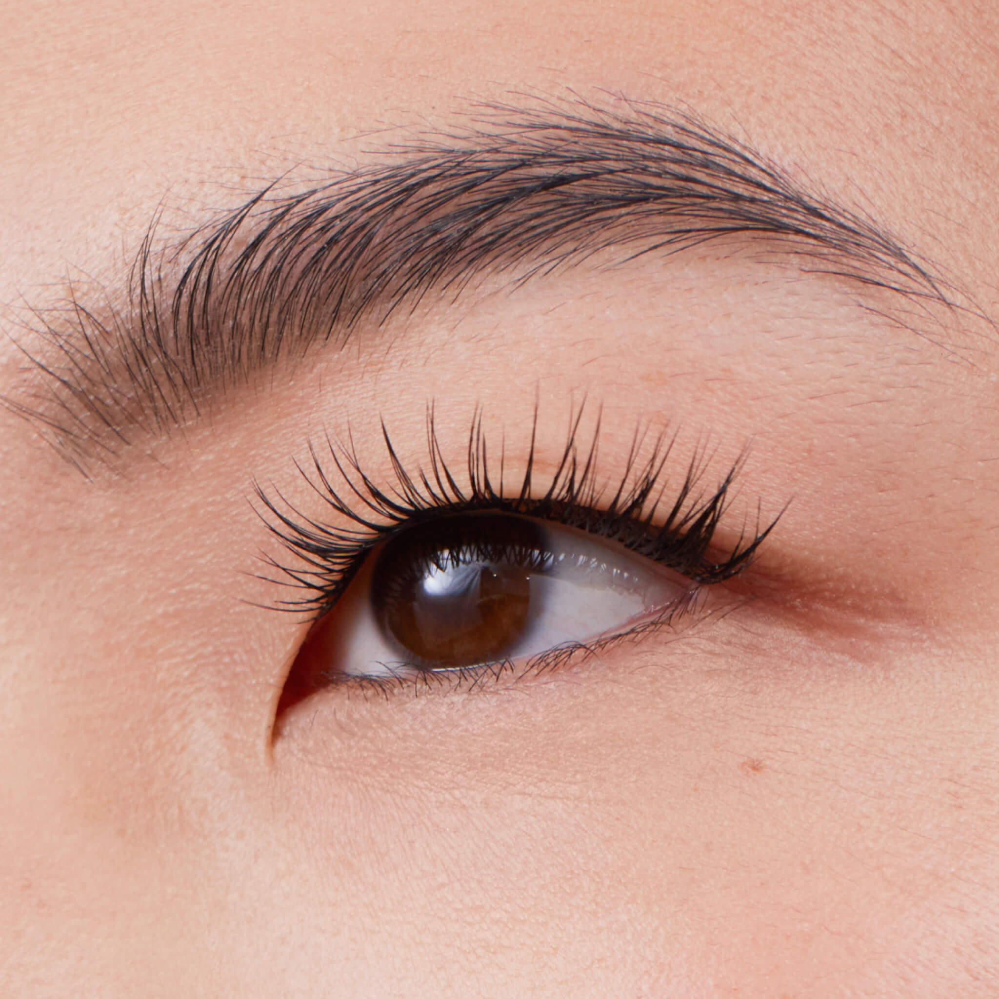 Drama Core Gossamer® False Eyelashes - Natural & Voluminous Lashes for Stunning Eye Makeup | Perfect for Parties, Weddings, and Special Occasions