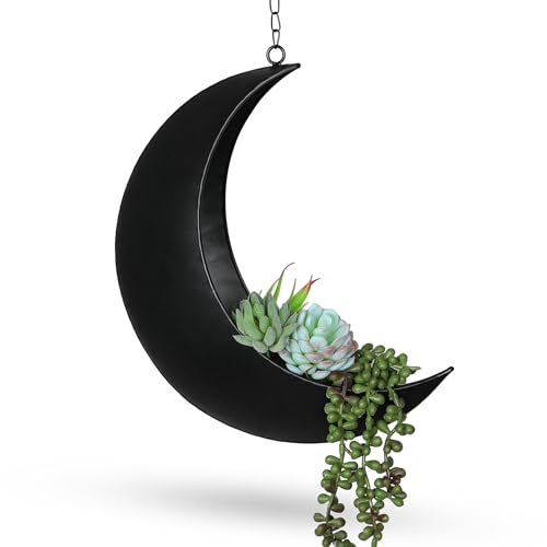 Black Moon With Drain Holes