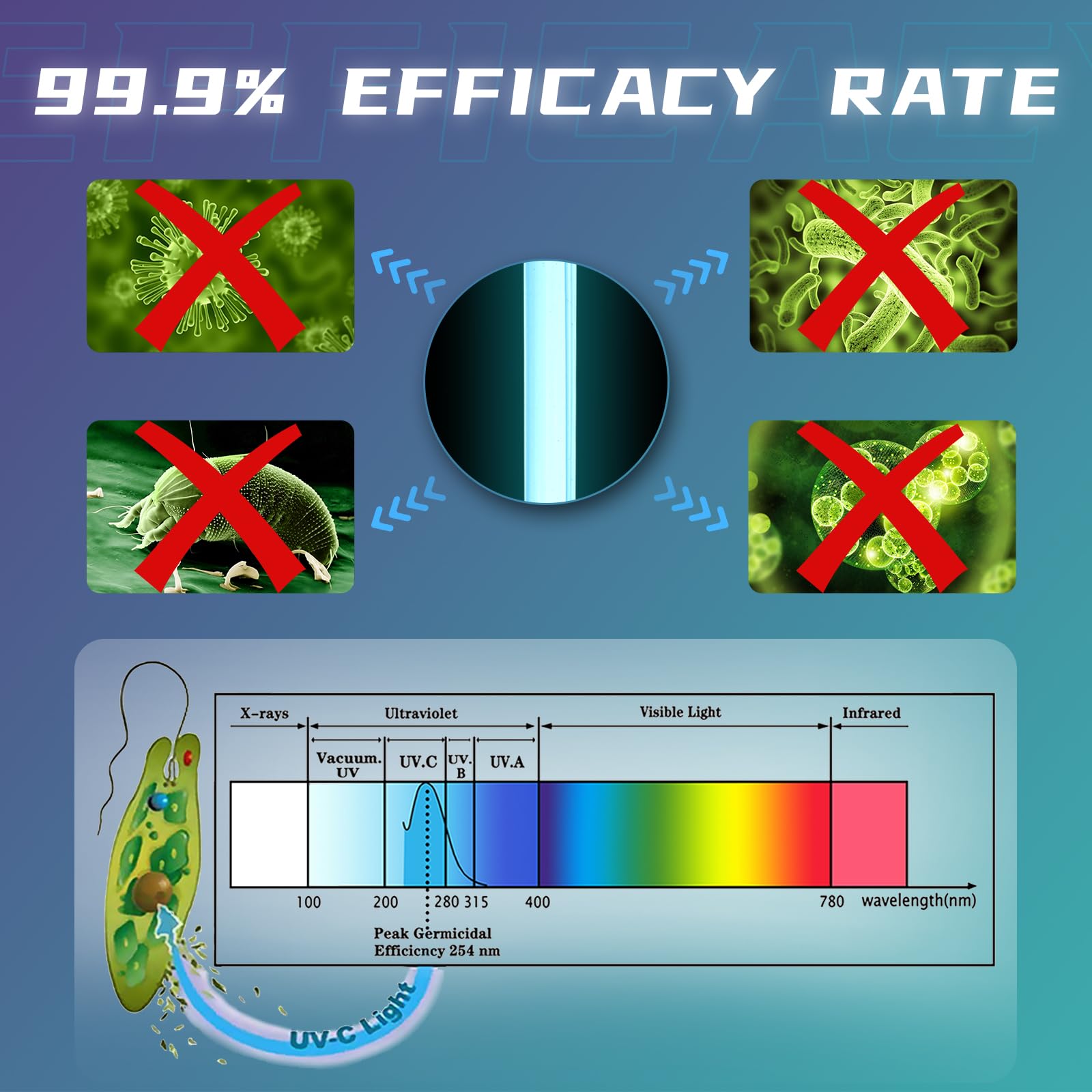 55W UV Sterilizer Light for Pools, Cold Plunge Tubs & Aquariums - UVC Bulb Algae Control for Above Ground Pools, Ponds & Green Water Treatment - Stainless Steel UV Clarifier for Crystal Clear Water (Perfect for Backyard Oasis, Spa Maintenance & Fish Tank Cleaning)