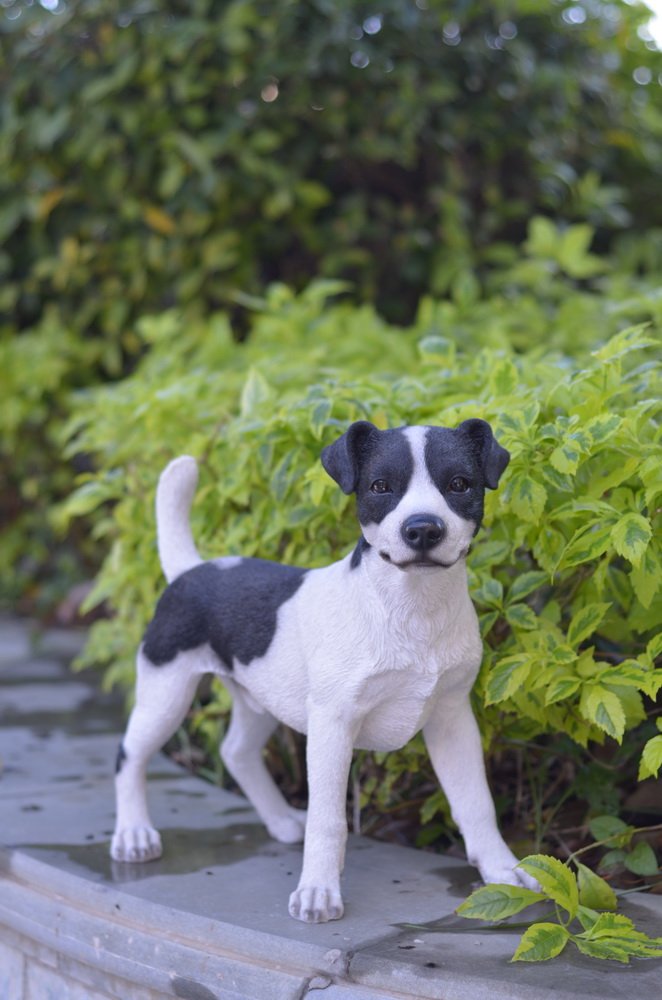 Standing Jack Russell Terrier Dog Statue - Handcrafted Home Decor for Pet Lovers | Perfect for Living Room, Garden & Office Display