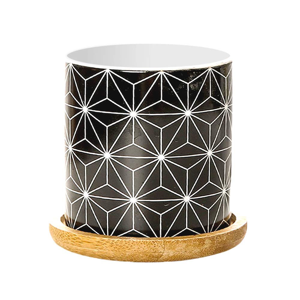 Ornerx Small Ceramic Succulent Planters - Mini Cactus Flower Pots for Home Decor, Office Desk, and Indoor Gardening