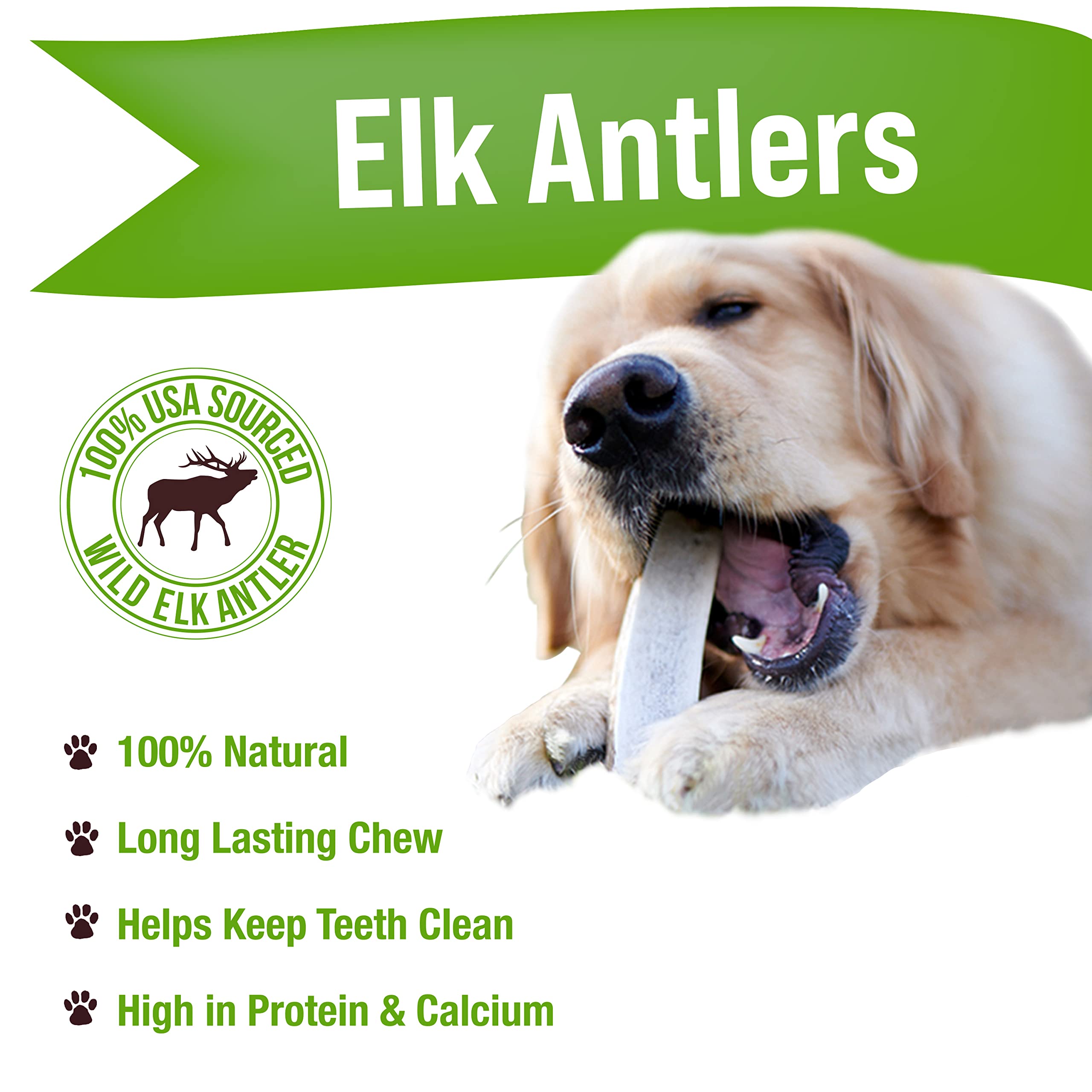 Buck Bone Organics All-Natural Elk Antler Dog Chews for Aggressive Chewers - Long Lasting Dog Bones, No Preservatives, Wild Shed in USA (Large 2 Pack) - Perfect for Teething Puppies & Strong Chewers