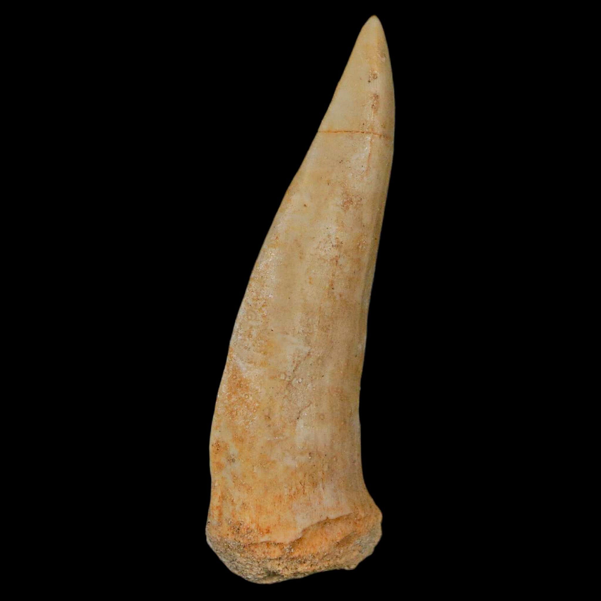 XL 2.3