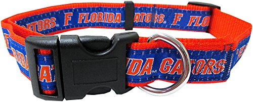 Florida Gators
