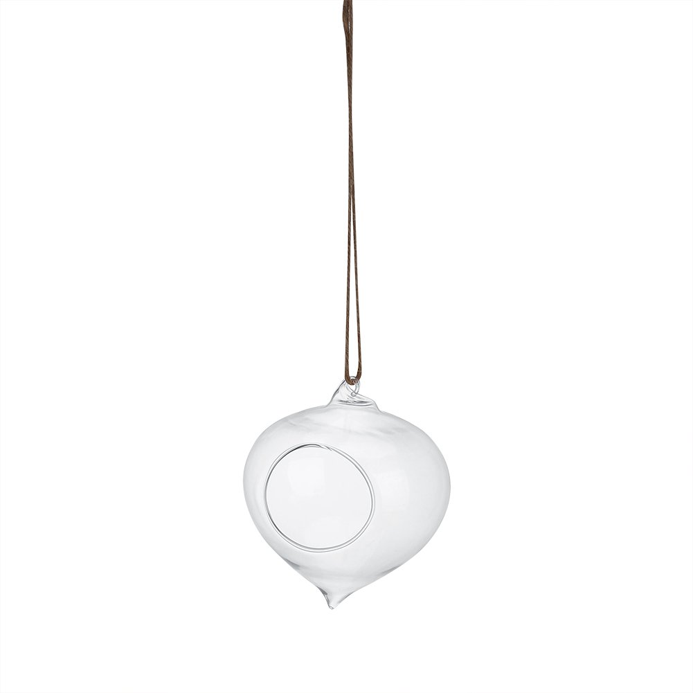 Glass Hanging Planter - Teardrop-Shaped Air Plant Pot & Terrarium Vase for Succulents, Herbs, Flowers | Perfect for Office Decor, Home Garden, Indoor & Outdoor Hanging Plants