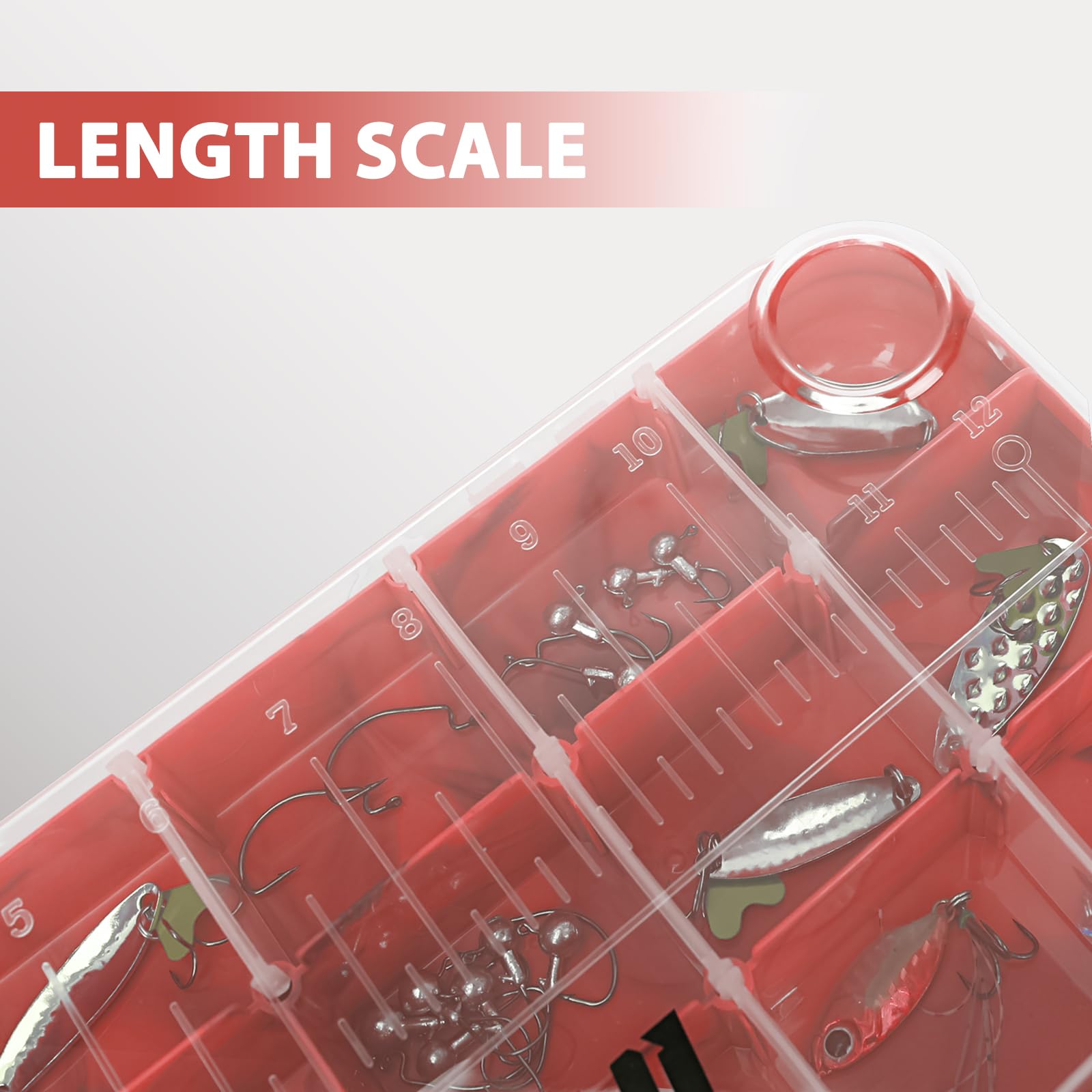 Goloni 3600 Tackle Box Organizer - Clear Plastic Fishing Storage Box with Removable Dividers, 4-Pack Lure Box for Bass, Trout & Saltwater Fishing - Perfect for Boat, Kayak & Shore Fishing Trips