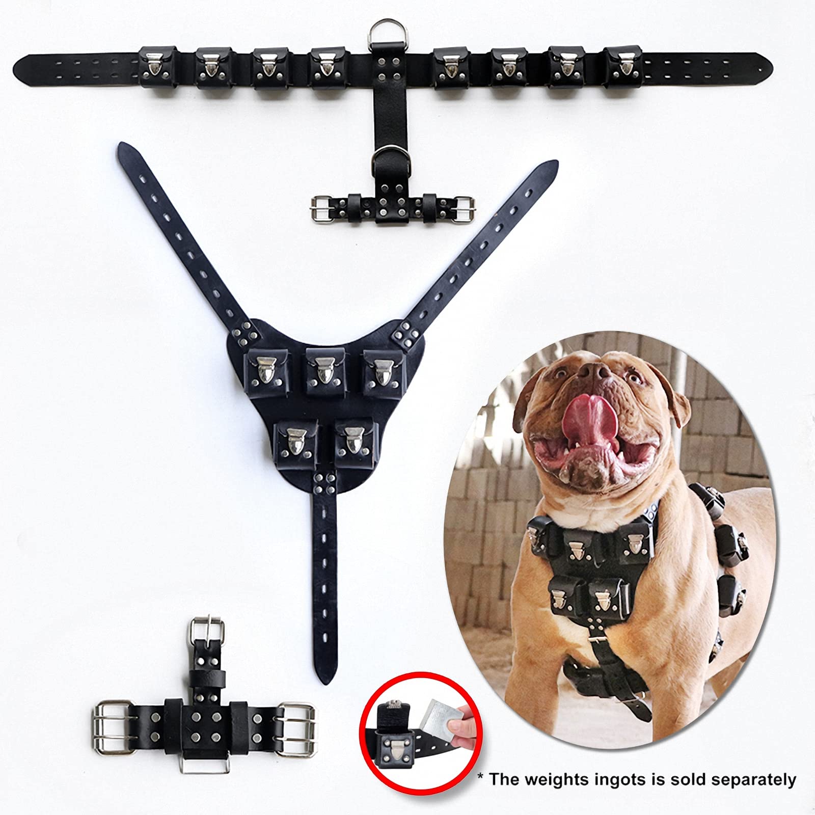 Weighted Dog Vest for Medium & Large Dogs - No Pull Leather Harness with Pockets for Muscle Building & Fitness Training | Perfect for Outdoor Hiking, Jogging and Canine Exercise