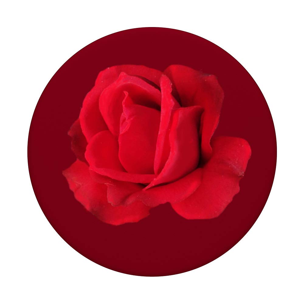 Beautiful Red Rose Bouquet - Fresh Long Stem Roses for Valentine's Day, Anniversary & Romantic Gifts - Perfect for Weddings, Home Decor & Special Occasions