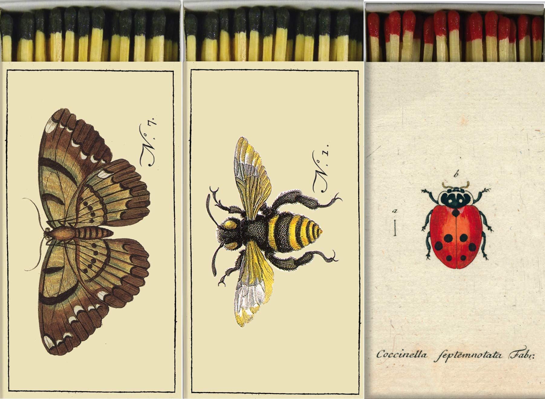 Ladybug Butterfly Bee Match Boxes - Set of 3 for Candles & Fireplaces