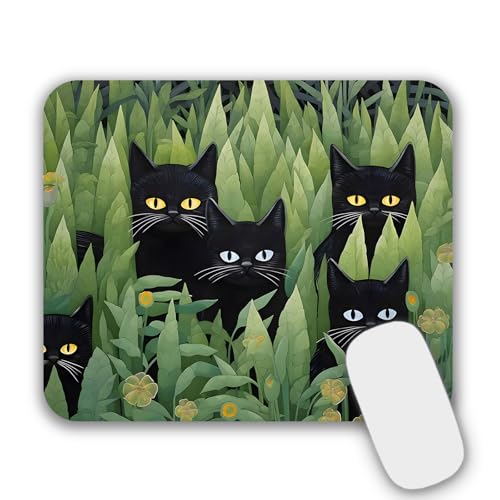Black Cats in grass