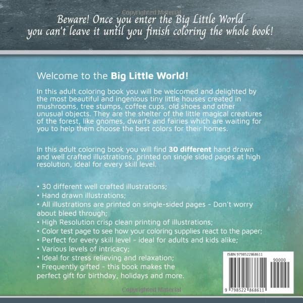Big Little World: Stress Relief Adult Coloring Book with Intricate Designs - Perfect for Relaxation, Meditation & Creative Art Therapy