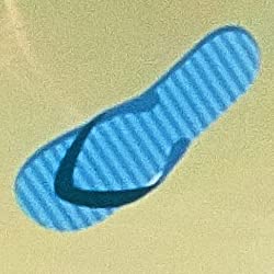 Blue Flip Flop