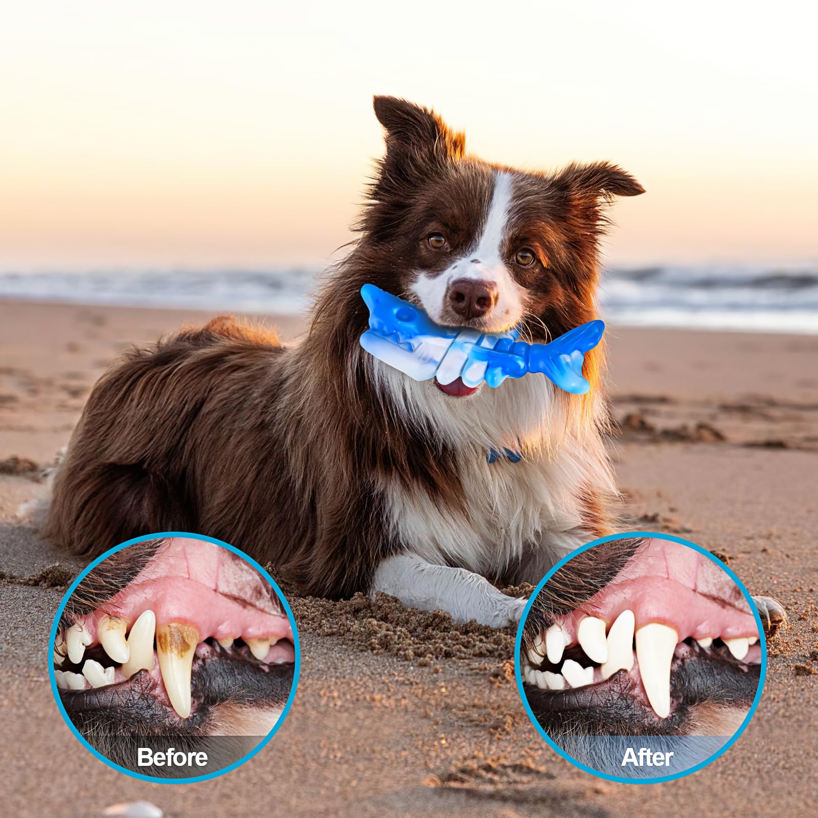 Durable PETSTA Dog Chew Toys for Aggressive Chewers - Tough Chew Toys for Large Dogs | Playtime & Training