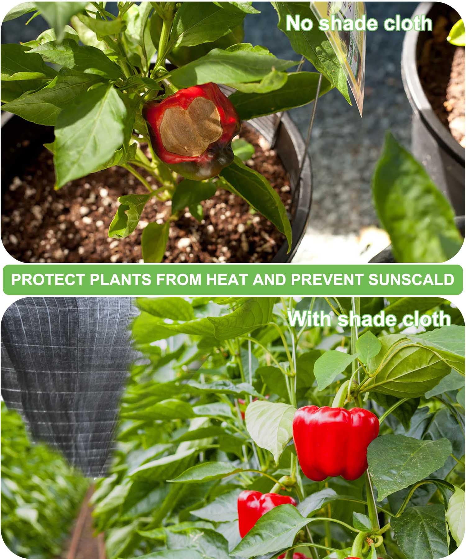 70% Shade Cloth 10x20 FT - Black UV Resistant Sun Shade Net with Reinforced Brass Grommets - Durable Mesh Tarp for Plant Cover, Greenhouse, Patio, Chicken Coop & Tomato Protection - Perfect for Outdoor Gardening & Sun Protection