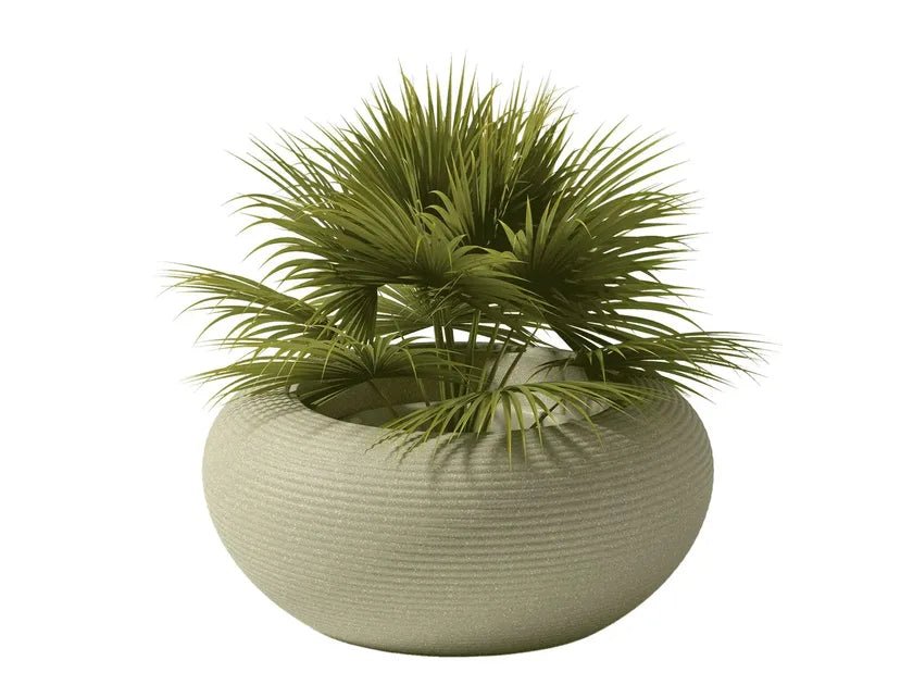 Qeeboo Nami Planter - Modern Whale-Shaped Flower Pot for Indoor Plants, Succulents & Home Decor - Perfect for Living Room, Office & Garden Decorations