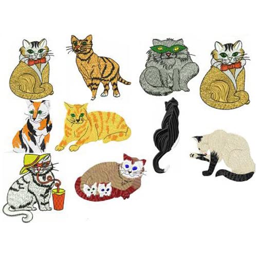 Cats1