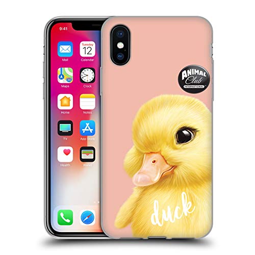 Duck