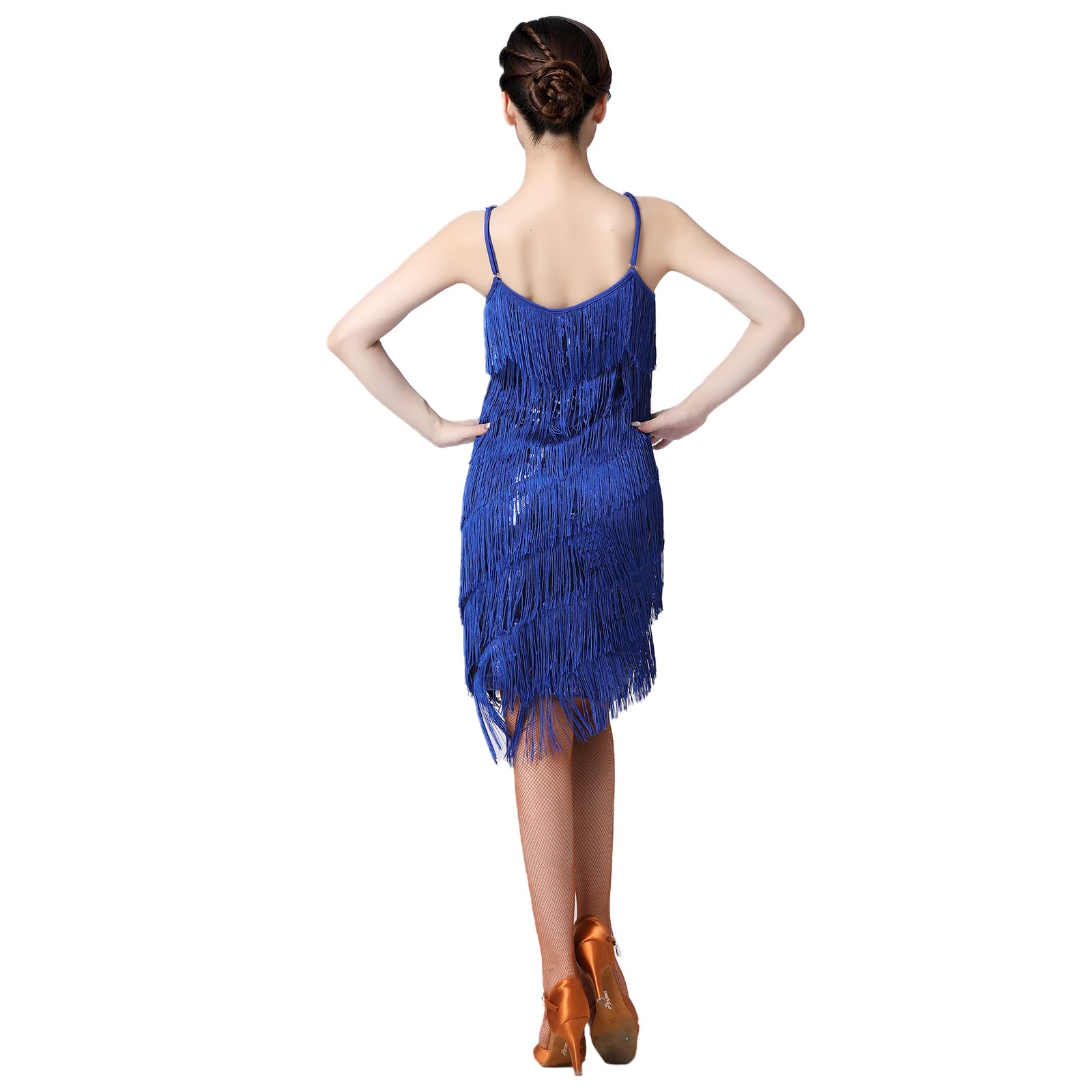 Vintage 1920s Flapper Dress - Great Gatsby Fringe Sequin Cocktail Party Dress for Women | Roaring 20s Costume, Swing Dance Outfit & Formal Evening Gown