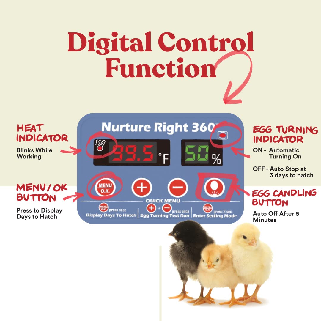 Harris Farms Nurture Right 12-22 Egg Incubator - Automatic Egg Turner with Digital Temperature & Humidity Control - Clear 360° View Window - Perfect for Hatching Chicken, Duck & Quail Eggs - Ideal for Home, Farm & Classroom Use