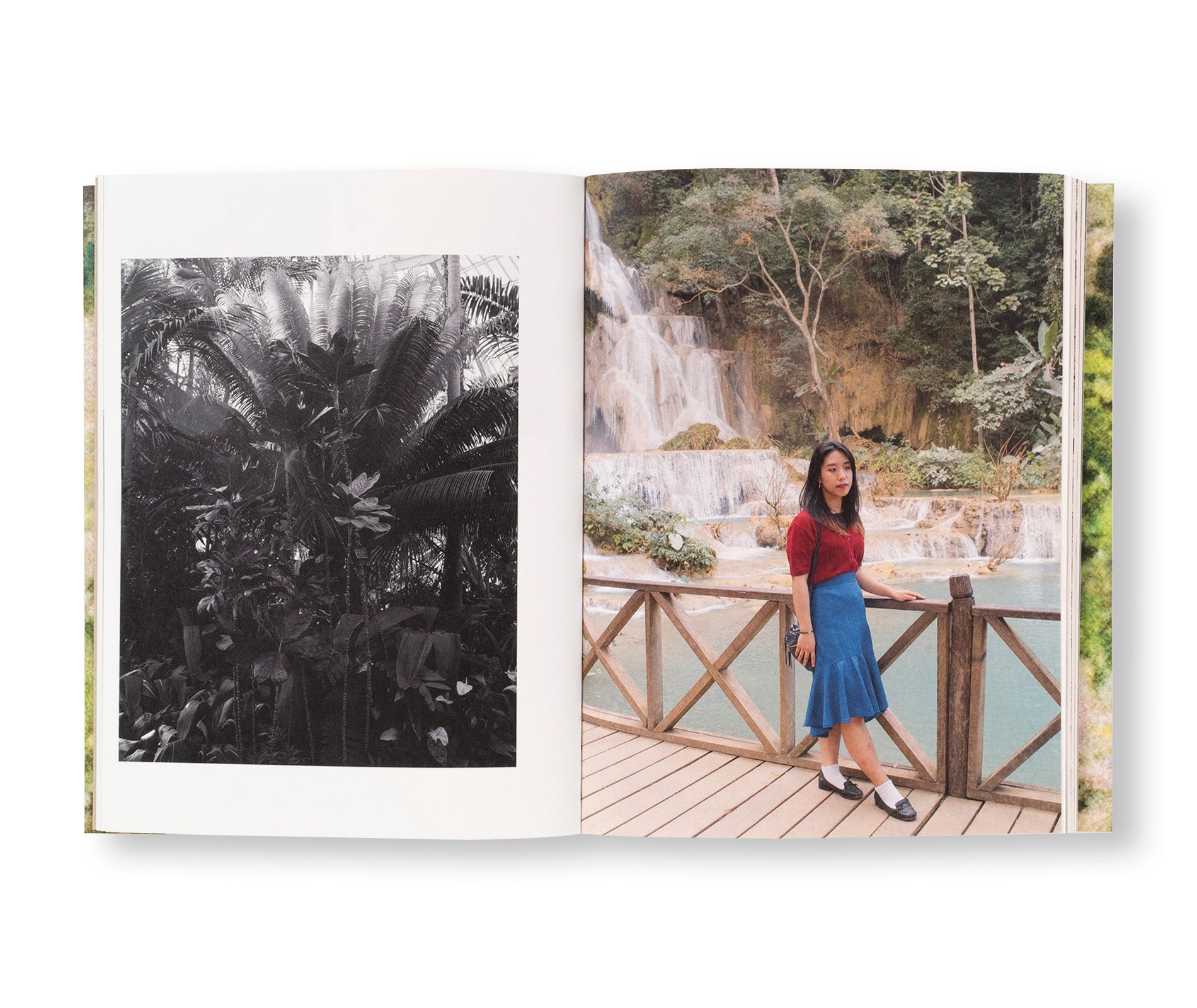 MY GRANDFATHER TURNED INTO A TIGER … AND OTHER ILLUSIONS by Pao Houa Her - Photography Book Exploring Hmong Identity & Cultural Myths - Perfect for Art Collectors & Asian American Studies