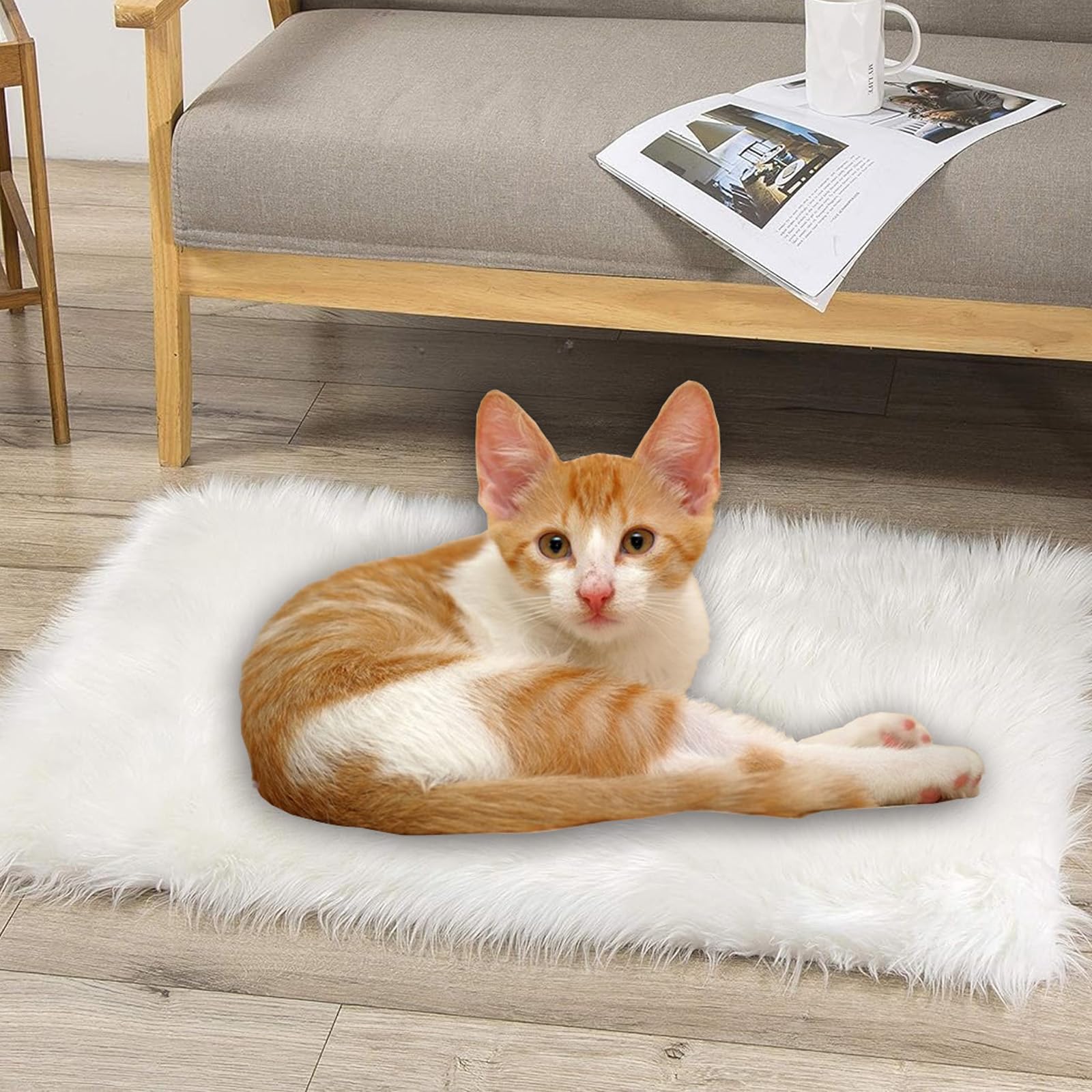 Fluffy Washable Small Dog & Cat Bed - Super Soft Plush Faux Fur Pet Mat for Indoor Sleeping | Warm Comfortable Cushion for Puppies, Kittens & Small Pets | Perfect for Bedroom, Living Room & Pet Carriers